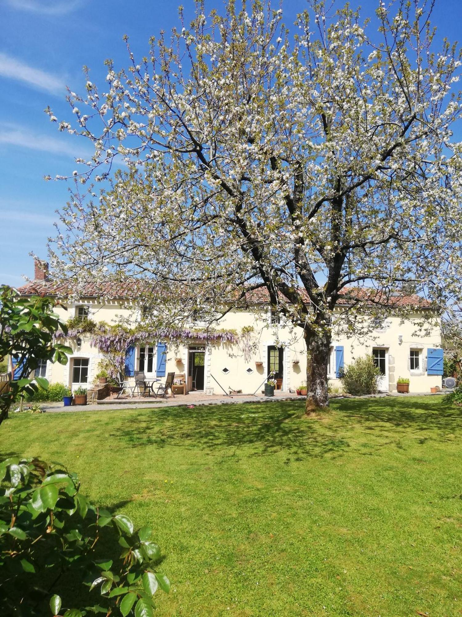 Papillons B&B - Beauty, Comfort And Peace 25 Mins From Puy Du Fou Montournais 외부 사진